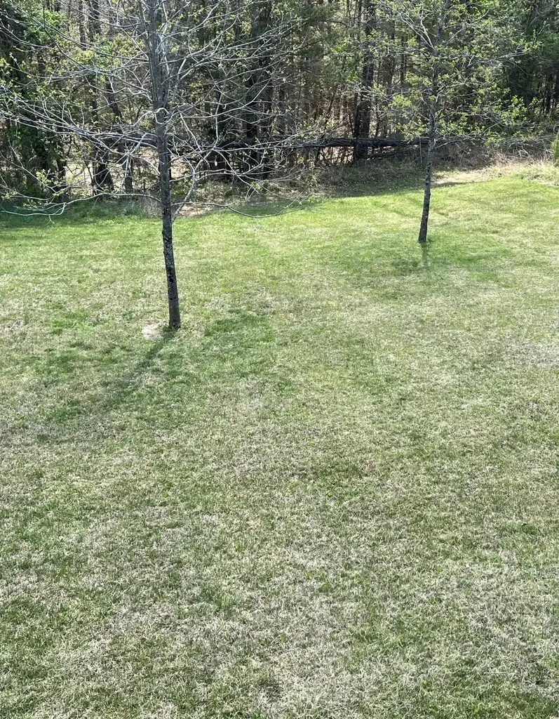 185 Turkey Ridge Road Wellington KY 40387