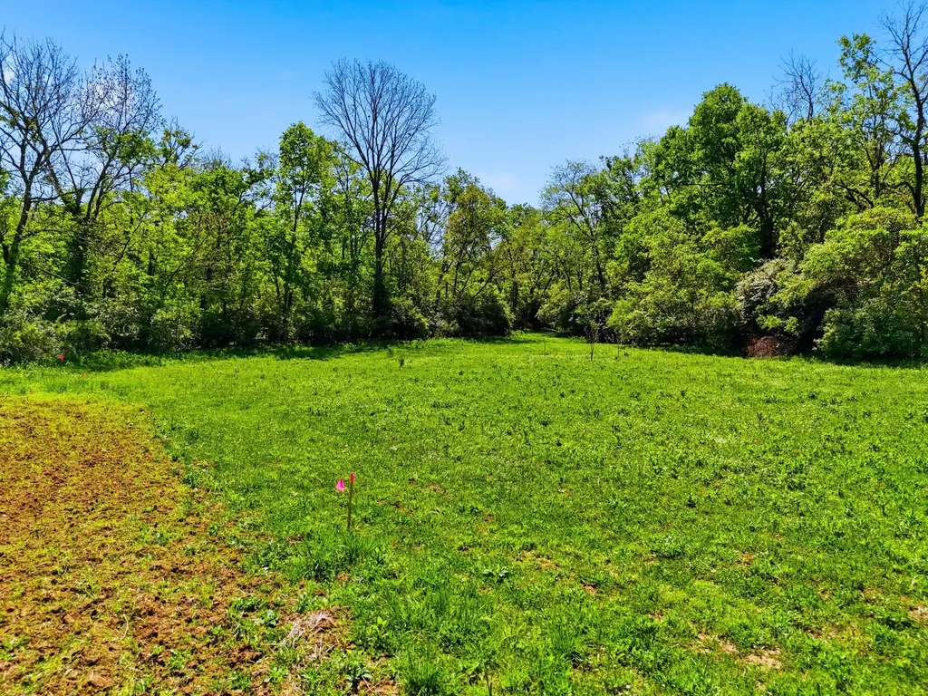 412 Scruggs Frankfort KY 40601