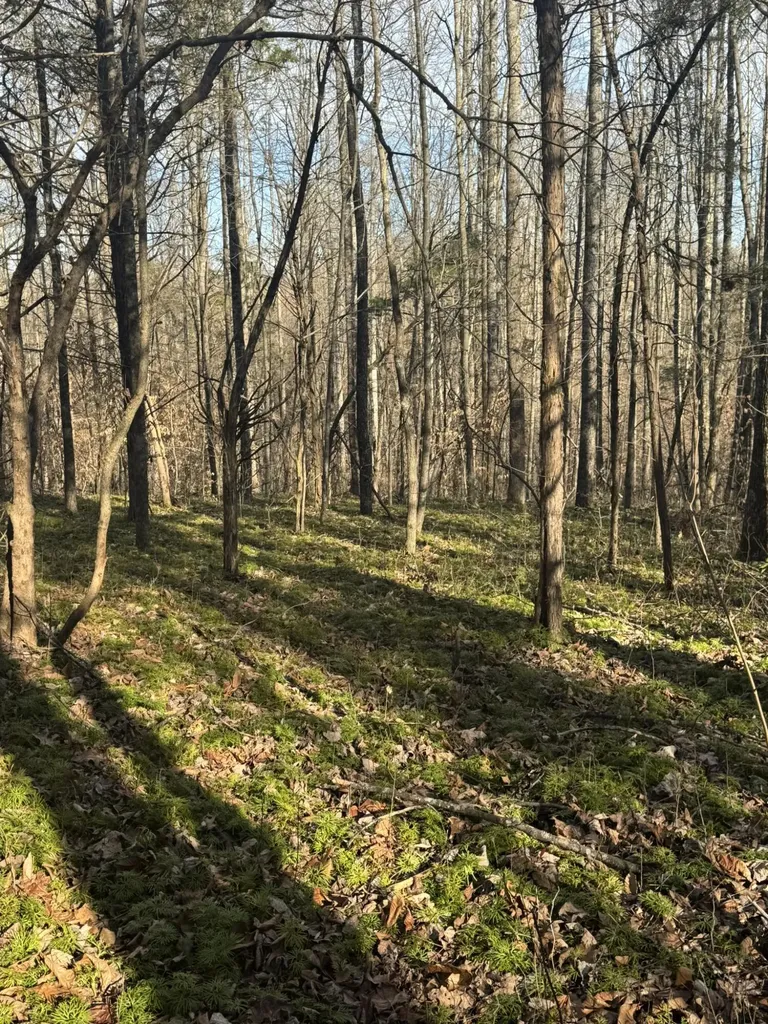 1064 Frontage Road Russell Springs KY 42642