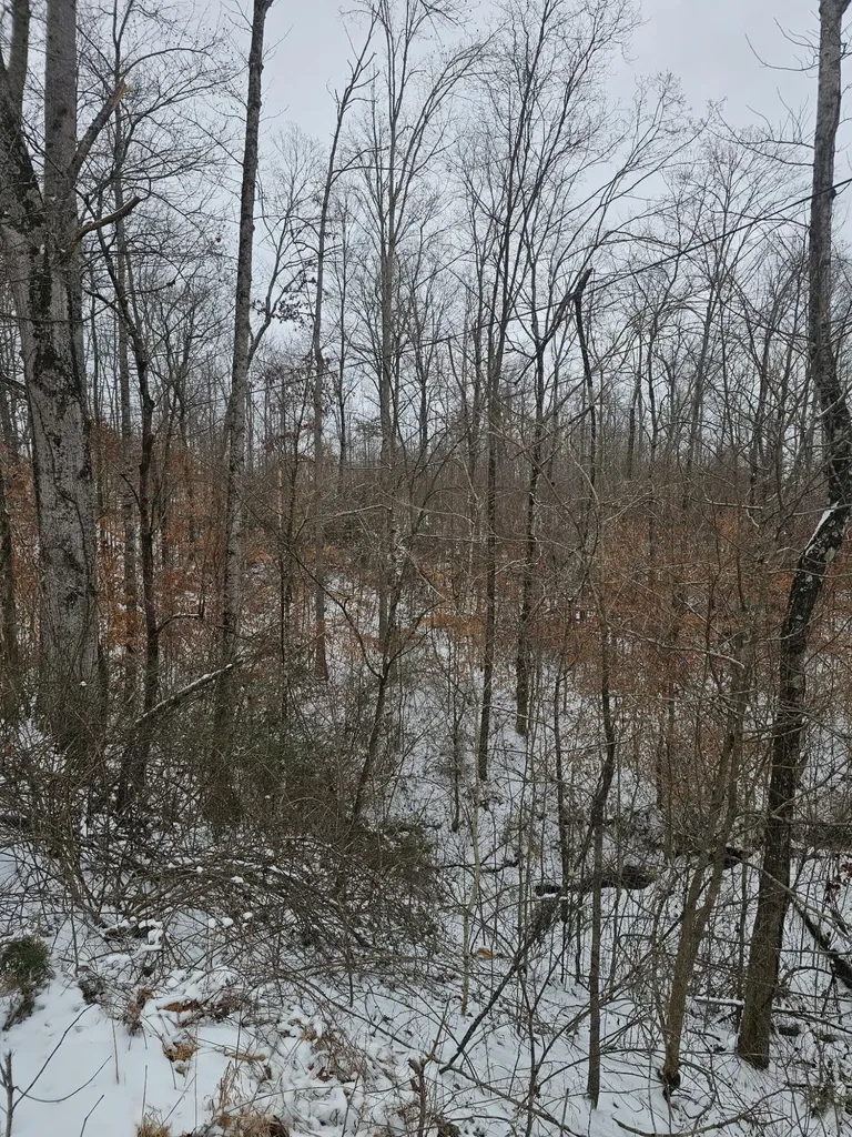 1064 Frontage Road Russell Springs KY 42642