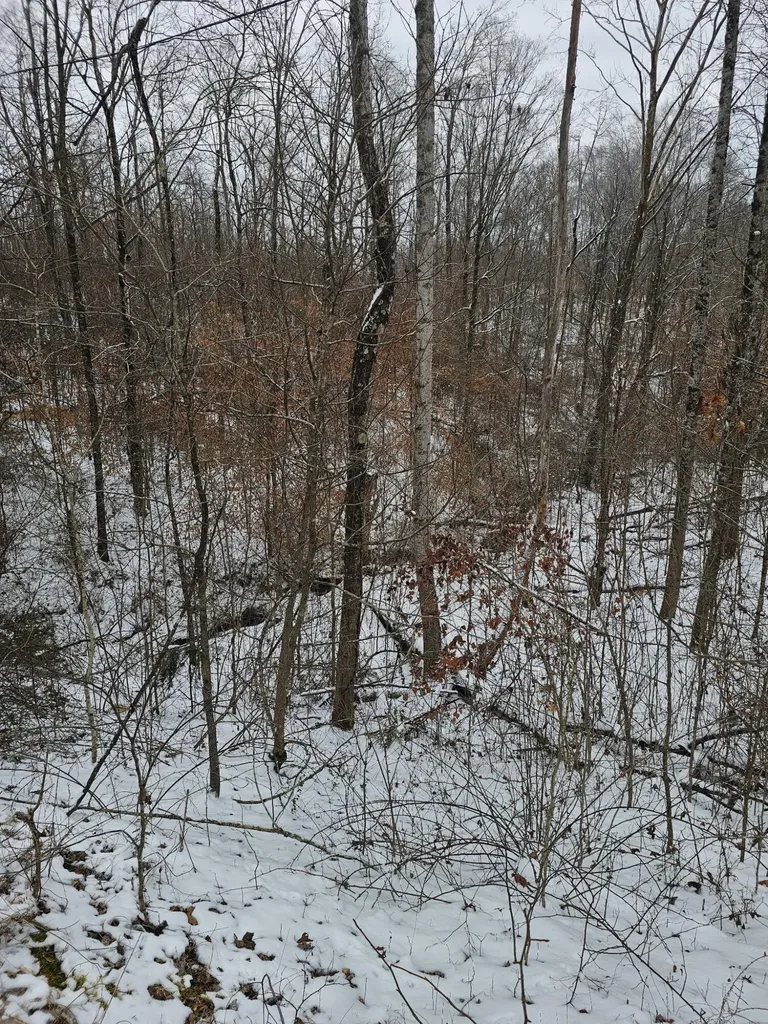 1064 Frontage Road Russell Springs KY 42642