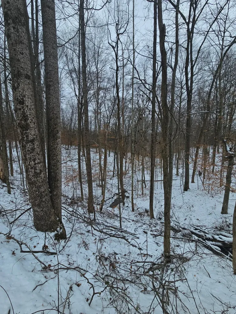 1064 Frontage Road Russell Springs KY 42642