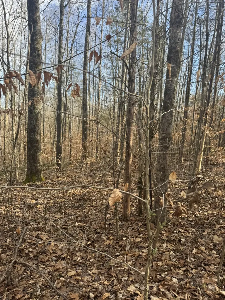 1064 Frontage Road Russell Springs KY 42642