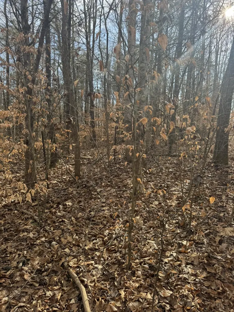 1064 Frontage Road Russell Springs KY 42642