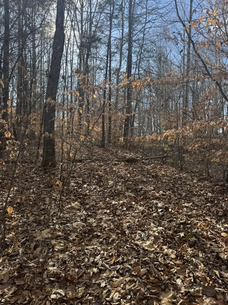 1064 Frontage Road Russell Springs KY 42642
