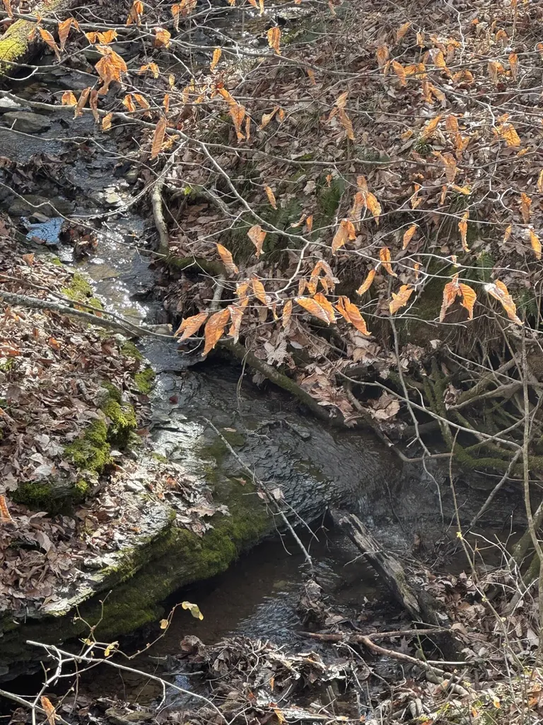 1064 Frontage Road Russell Springs KY 42642