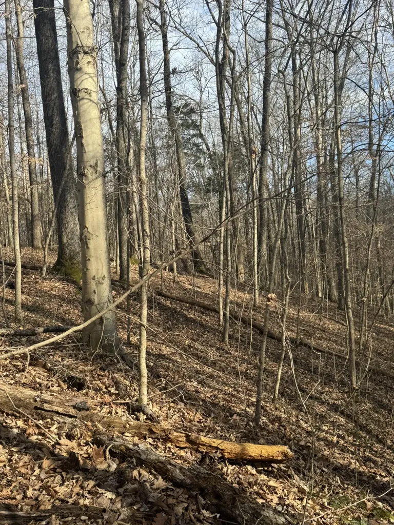 1064 Frontage Road Russell Springs KY 42642