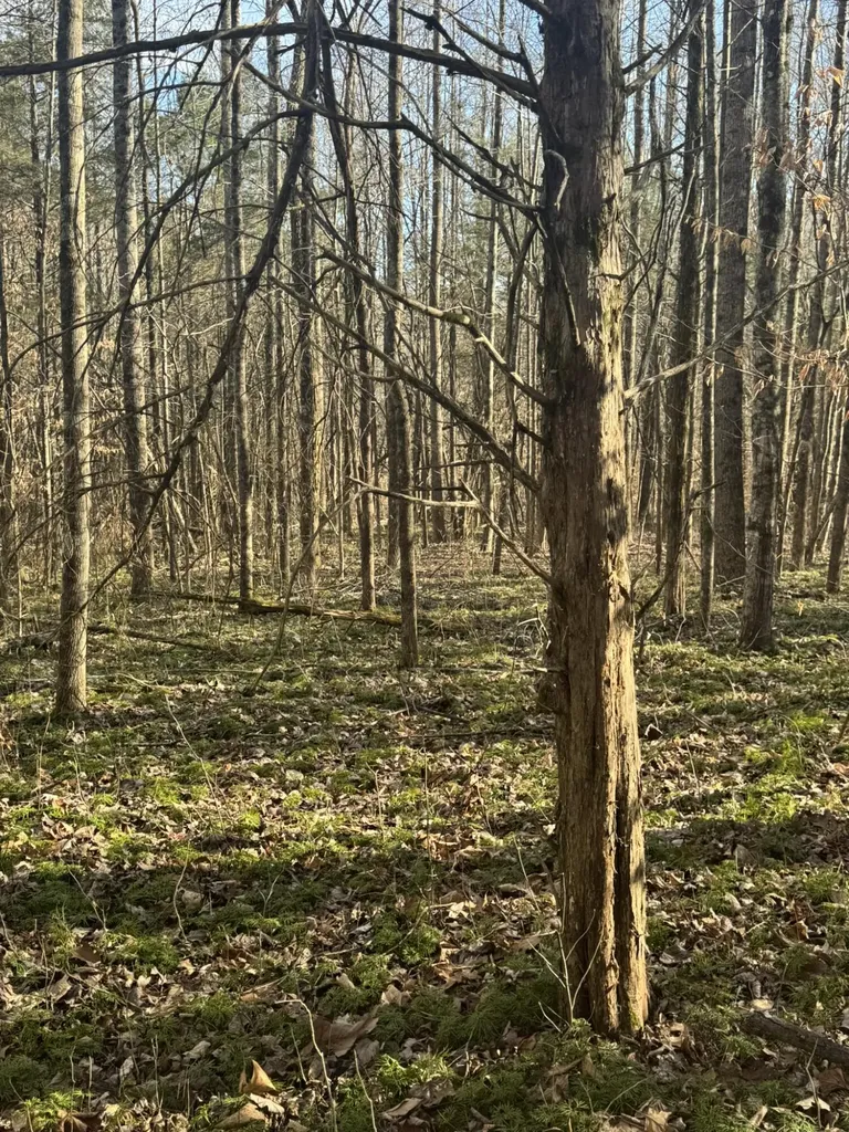 1064 Frontage Road Russell Springs KY 42642