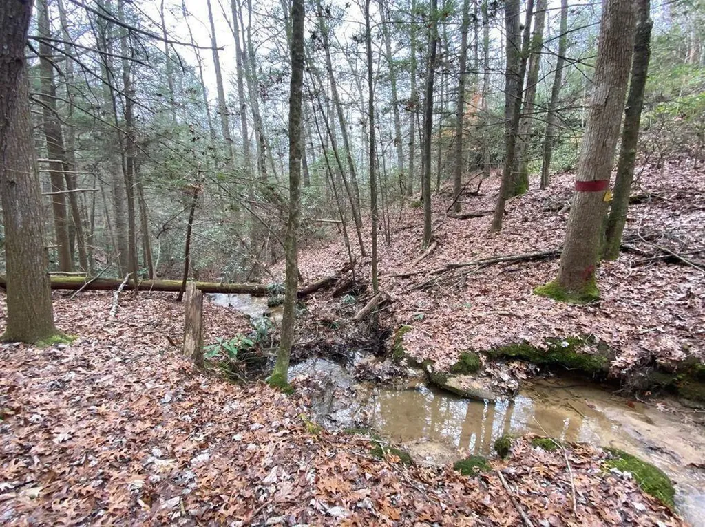 551 Rogers Road Corbin KY 40701