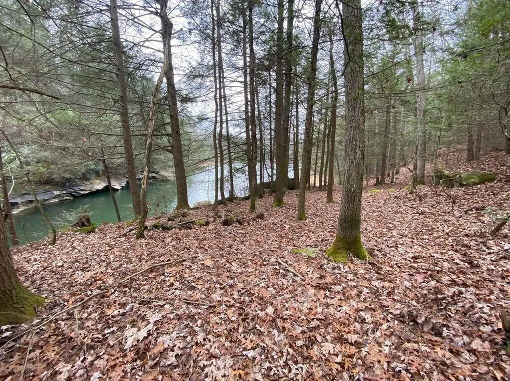 551 Rogers Road Corbin KY 40701