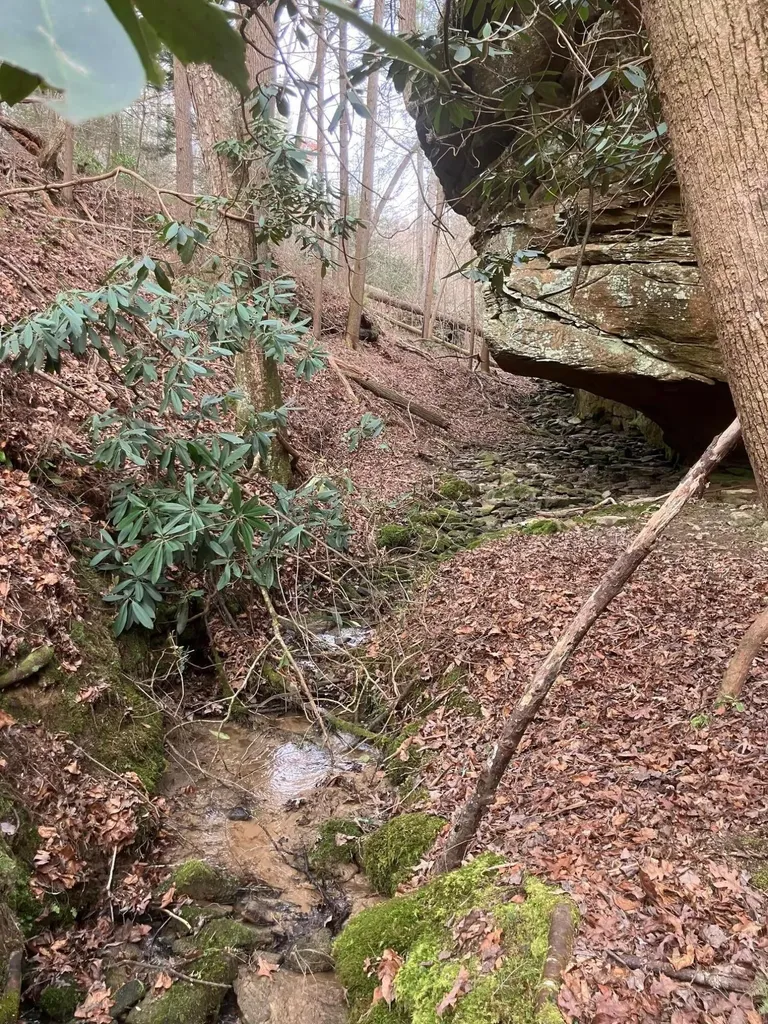 551 Rogers Road Corbin KY 40701