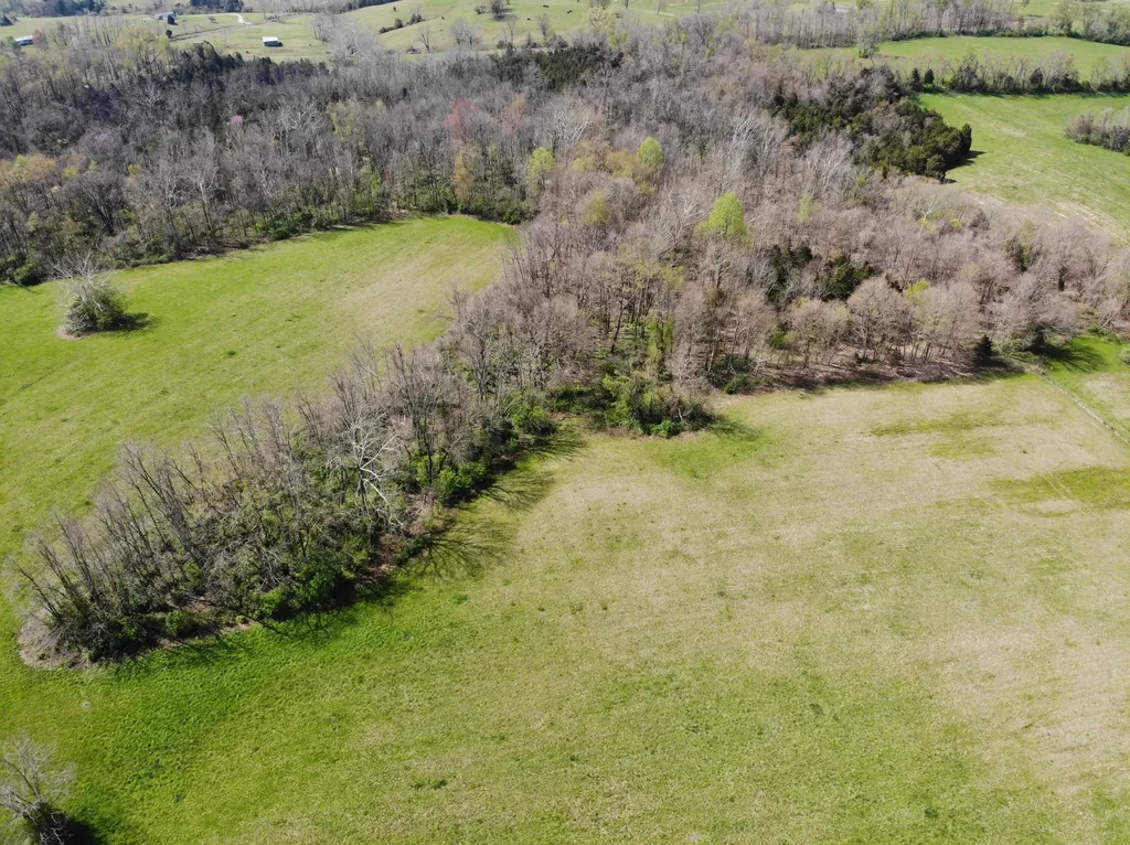 1350 Perry Pike Mt Sterling KY 40353