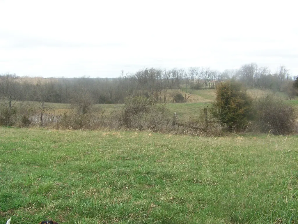 1350 Perry Pike Mt Sterling KY 40353