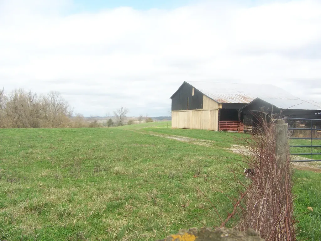1350 Perry Pike Mt Sterling KY 40353