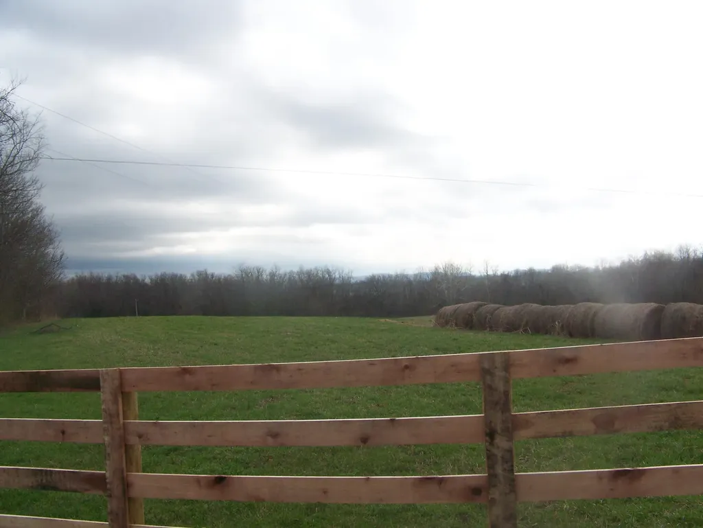 1350 Perry Pike Mt Sterling KY 40353