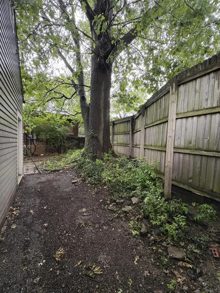 117 W Maxwell Street Lexington KY 40508