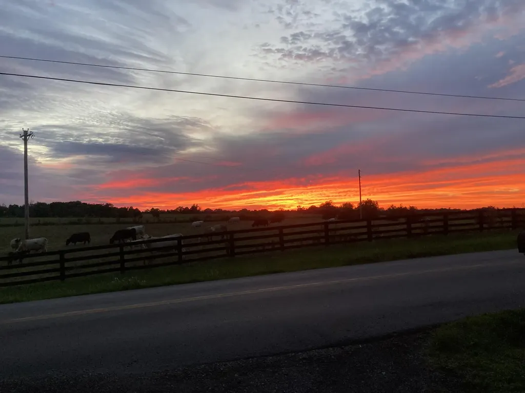 2613 Pine Grove Road Paris KY 40361