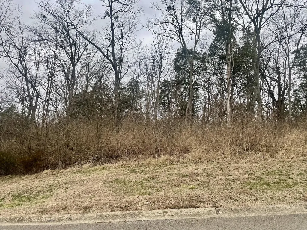 628 Persimmon Ridge Trail Richmond KY 40475