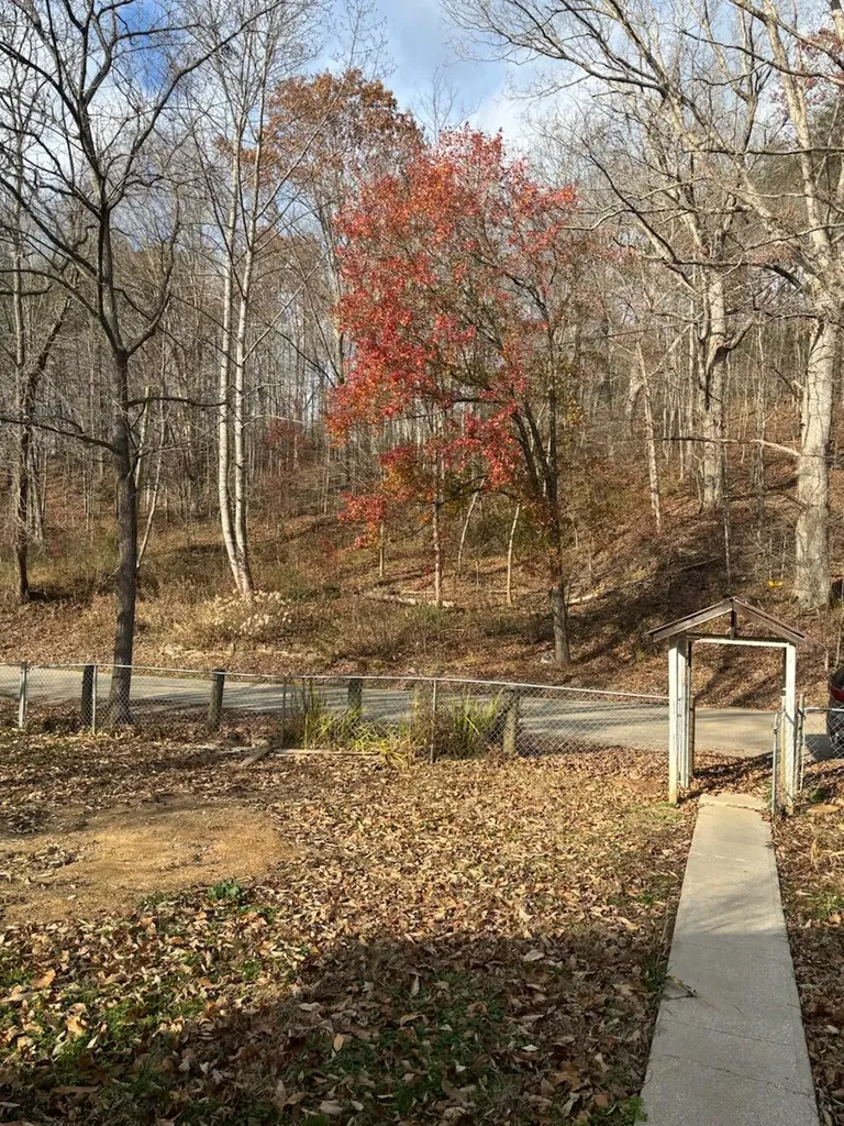 2647 Taylor School Road London KY 40741