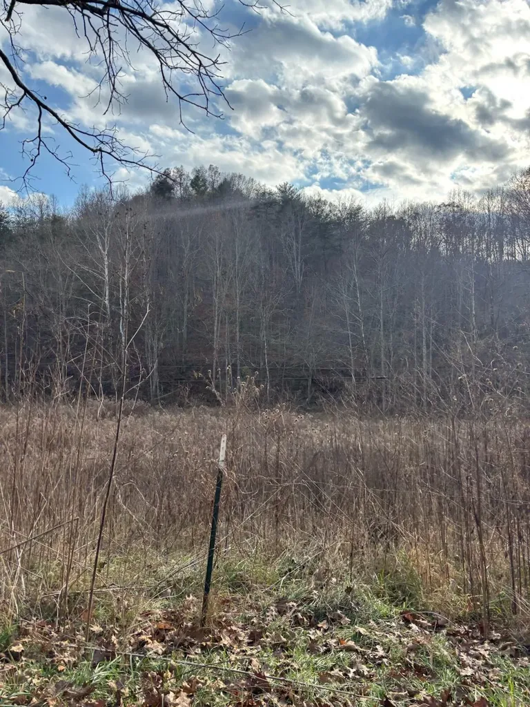 2647 Taylor School Road London KY 40741