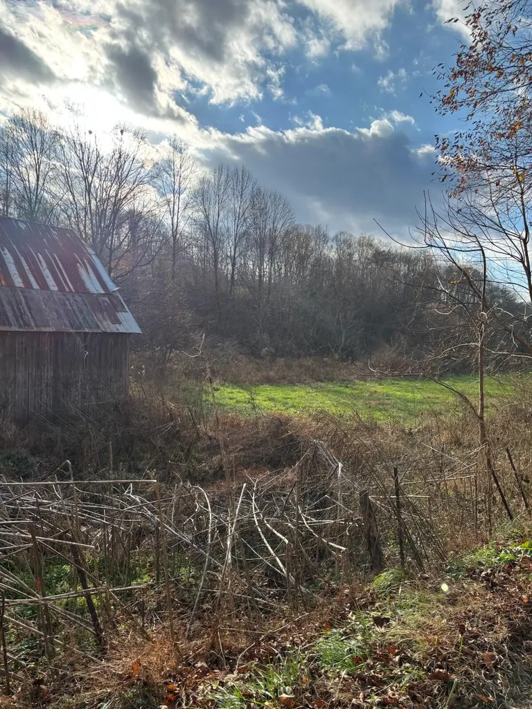 2647 Taylor School Road London KY 40741