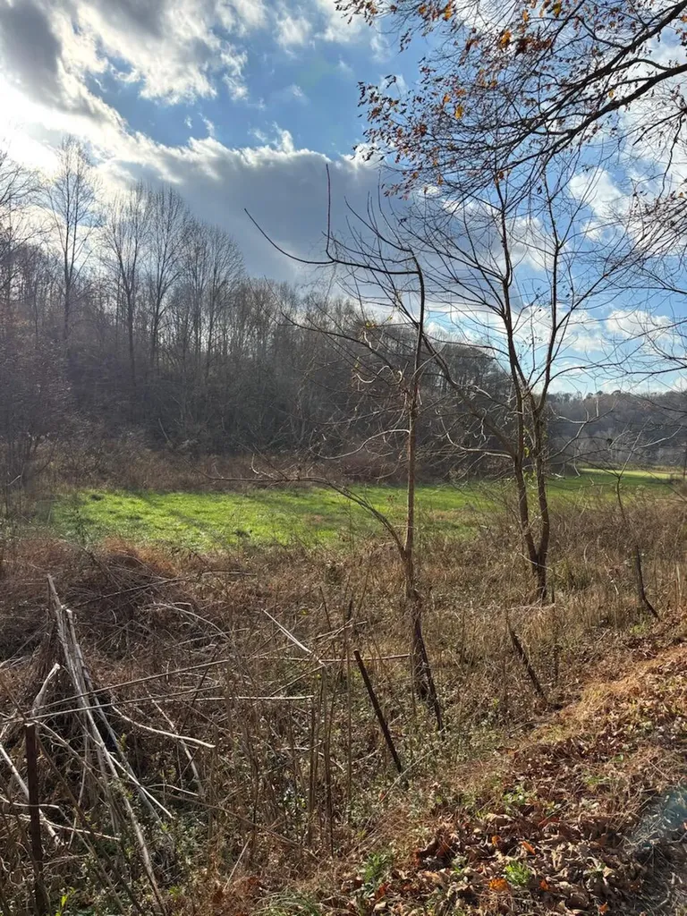 2647 Taylor School Road London KY 40741