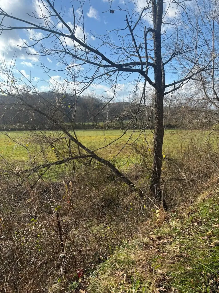 2647 Taylor School Road London KY 40741