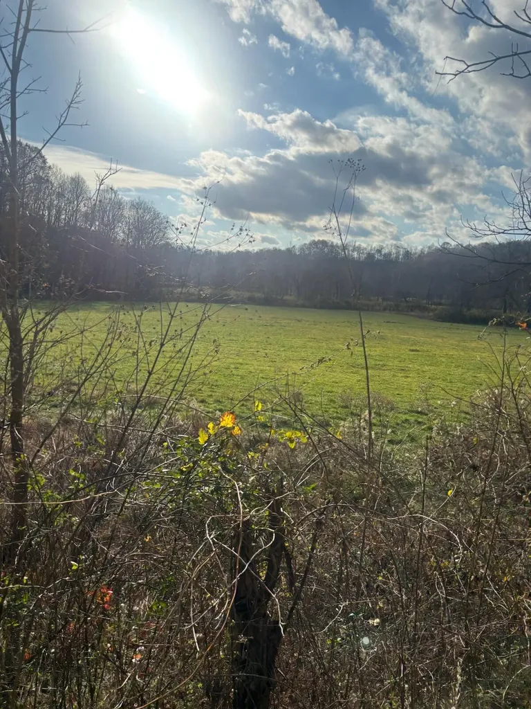 2647 Taylor School Road London KY 40741