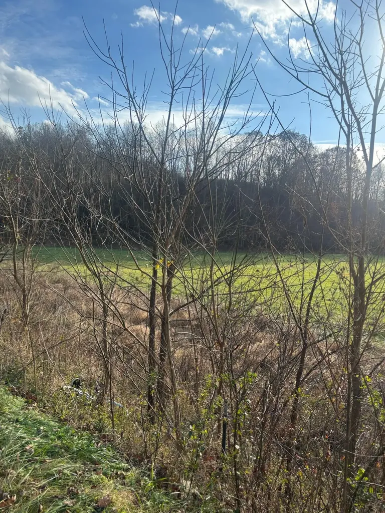 2647 Taylor School Road London KY 40741