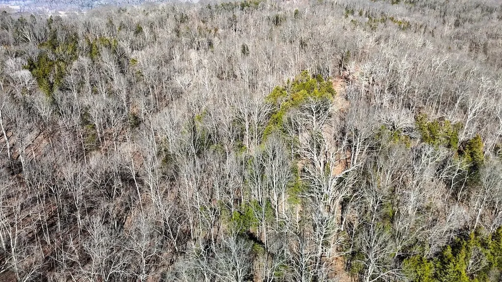 248 Sulphur Lick Road Frankfort KY 40601