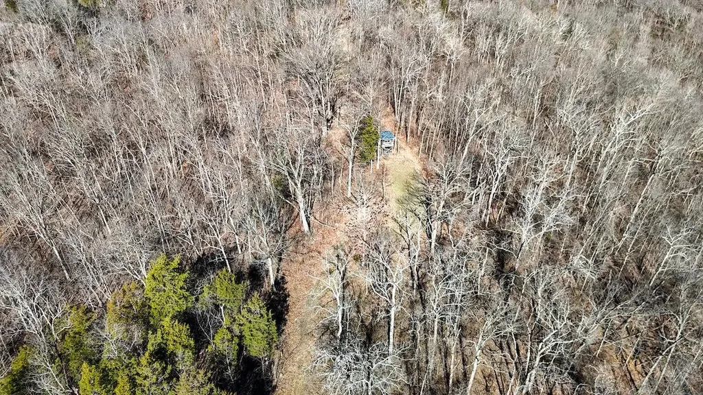 248 Sulphur Lick Road Frankfort KY 40601