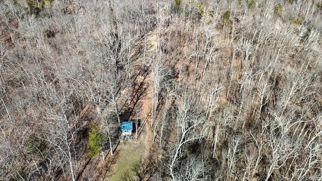 248 Sulphur Lick Road Frankfort KY 40601
