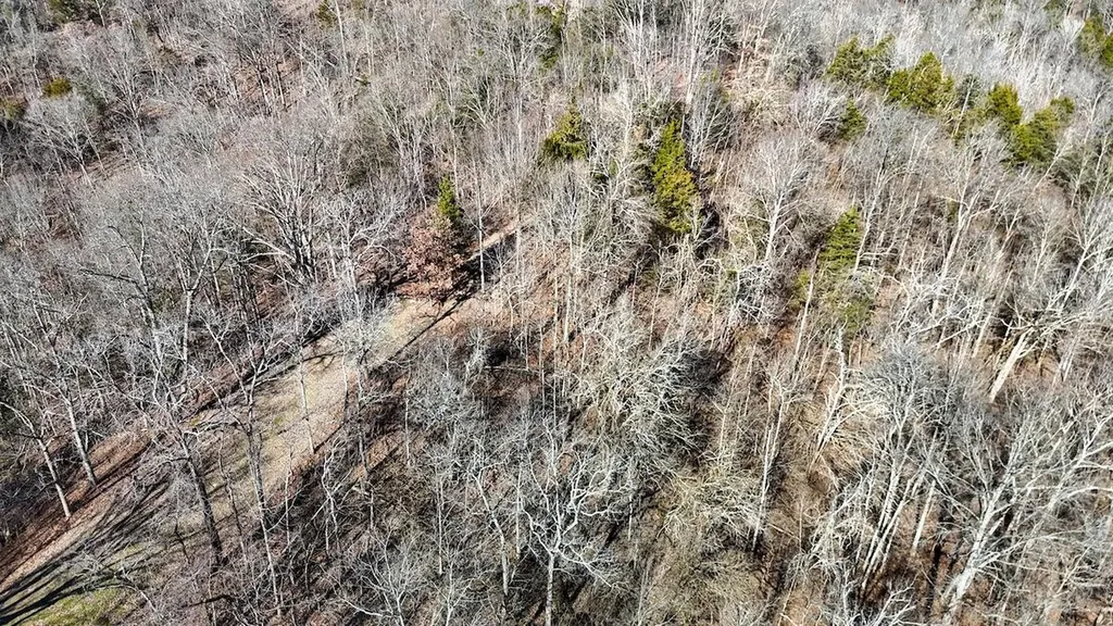 248 Sulphur Lick Road Frankfort KY 40601