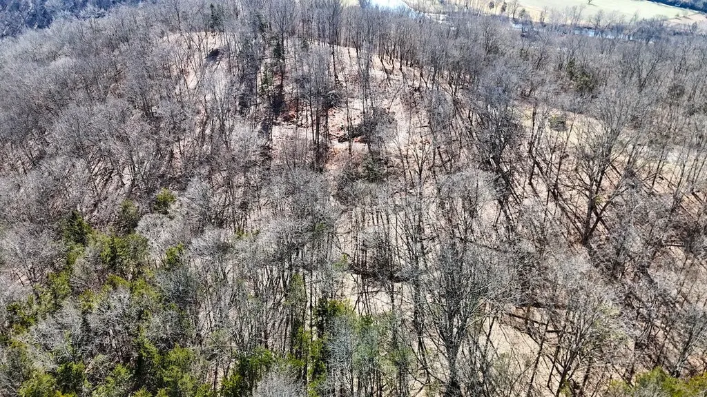 248 Sulphur Lick Road Frankfort KY 40601