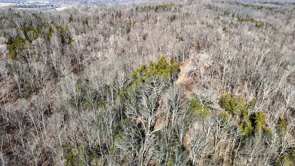 248 Sulphur Lick Road Frankfort KY 40601