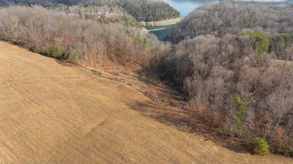 Tract 3 Highway 196 Nancy KY 42544