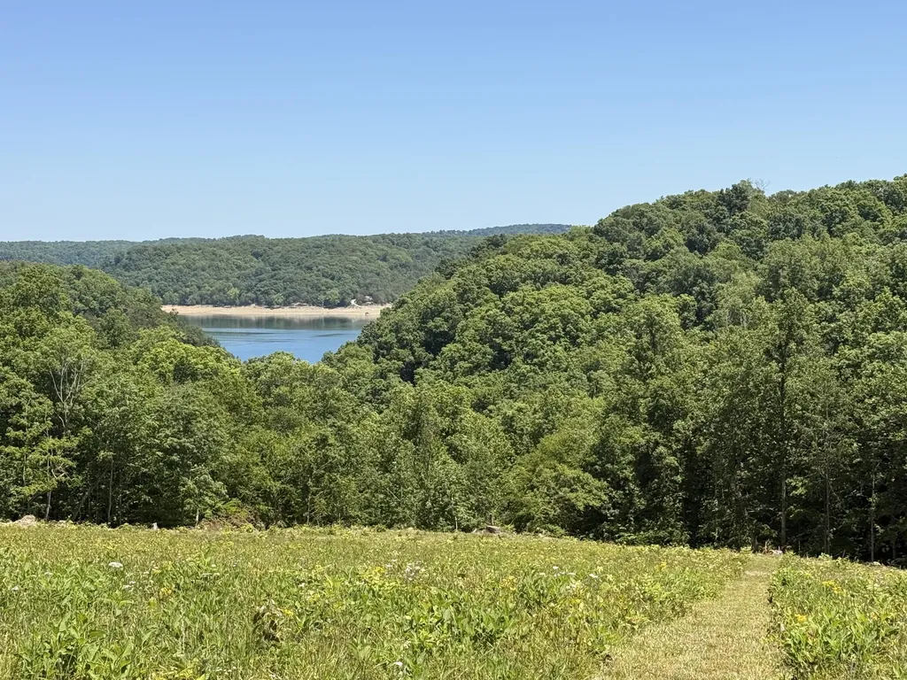 Tract 3 Highway 196 Nancy KY 42544
