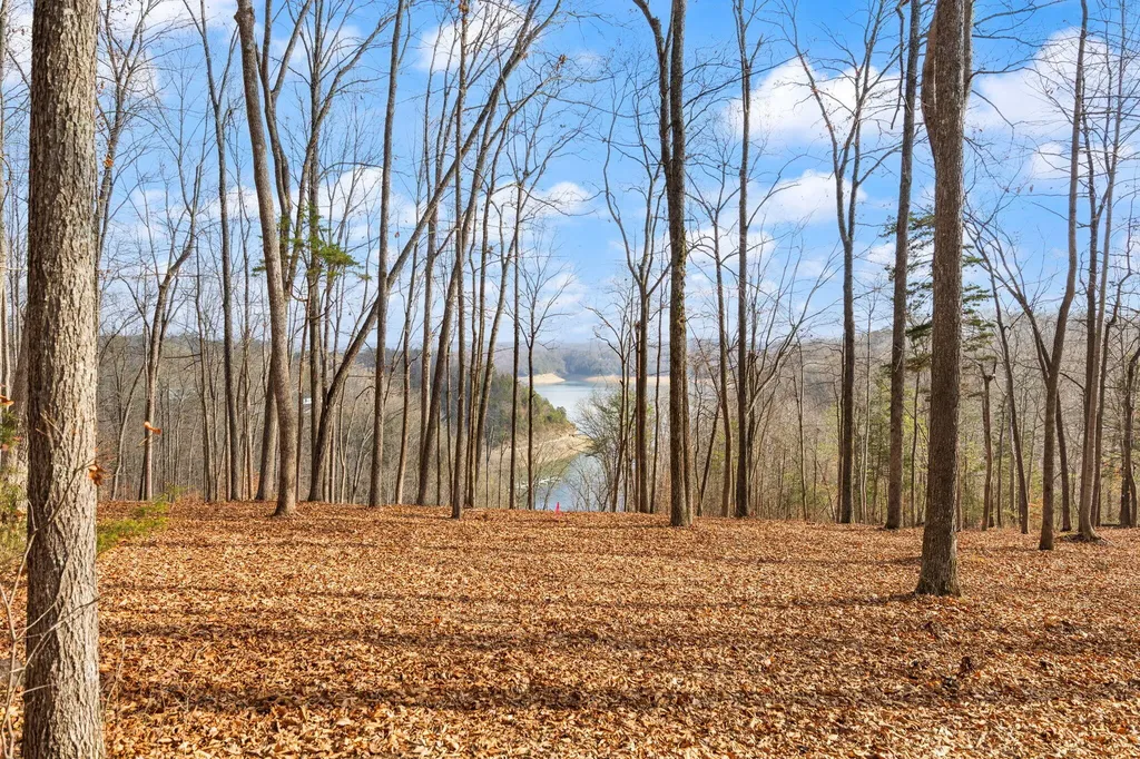 Tract 3 Highway 196 Nancy KY 42544