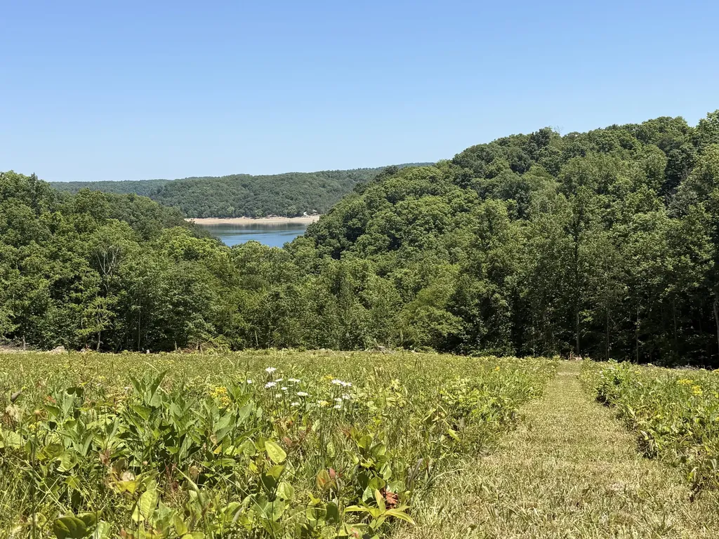 Tract 3 Highway 196 Nancy KY 42544