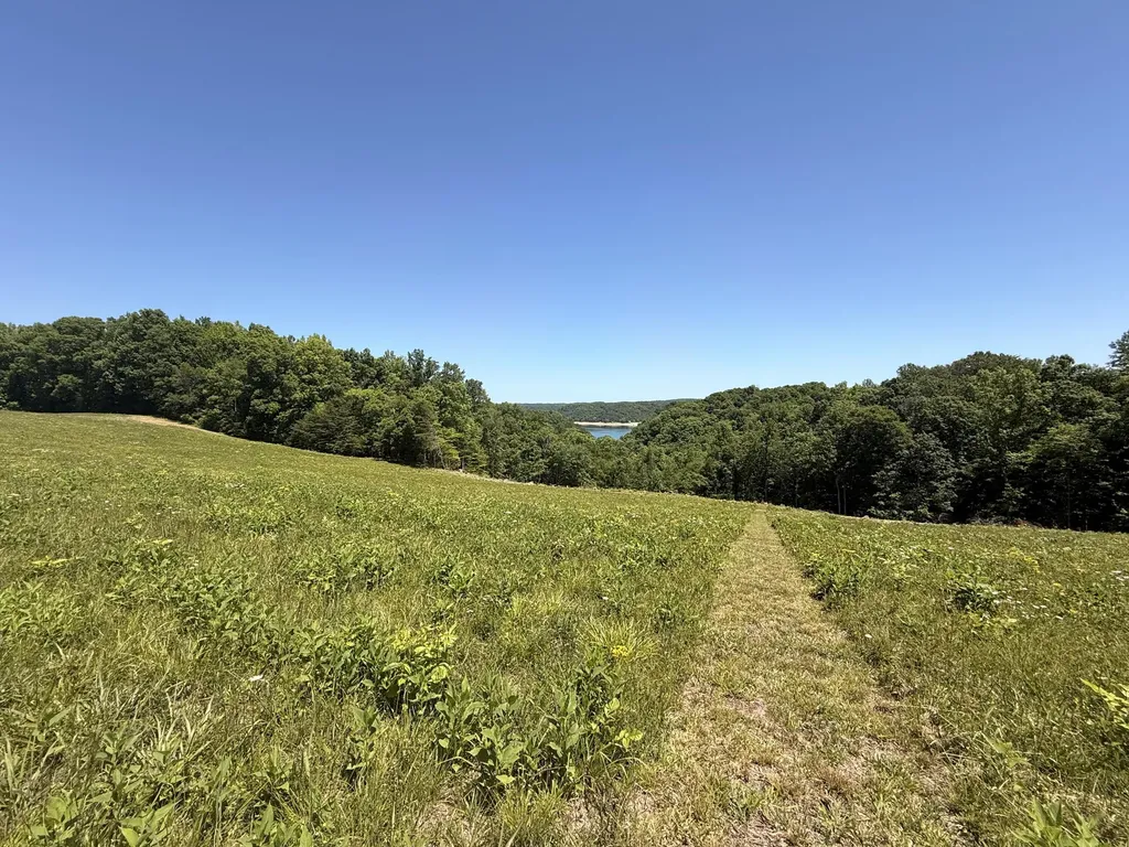 Tract 3 Highway 196 Nancy KY 42544
