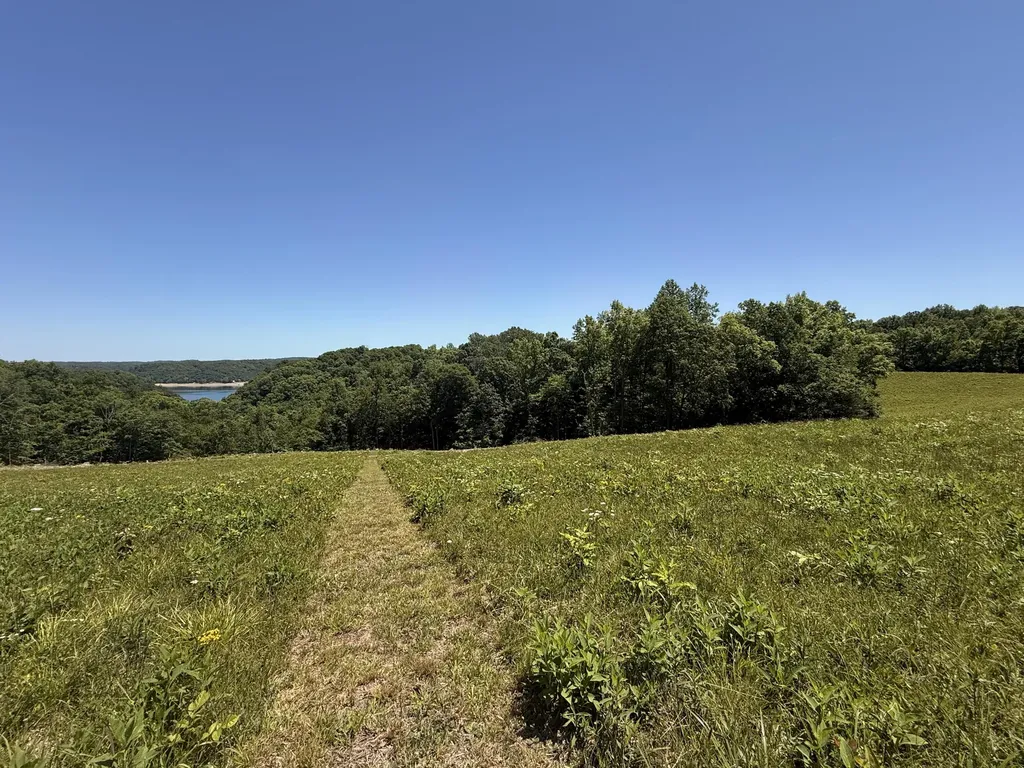 Tract 3 Highway 196 Nancy KY 42544