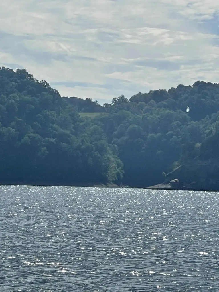 Tract 3 Highway 196 Nancy KY 42544