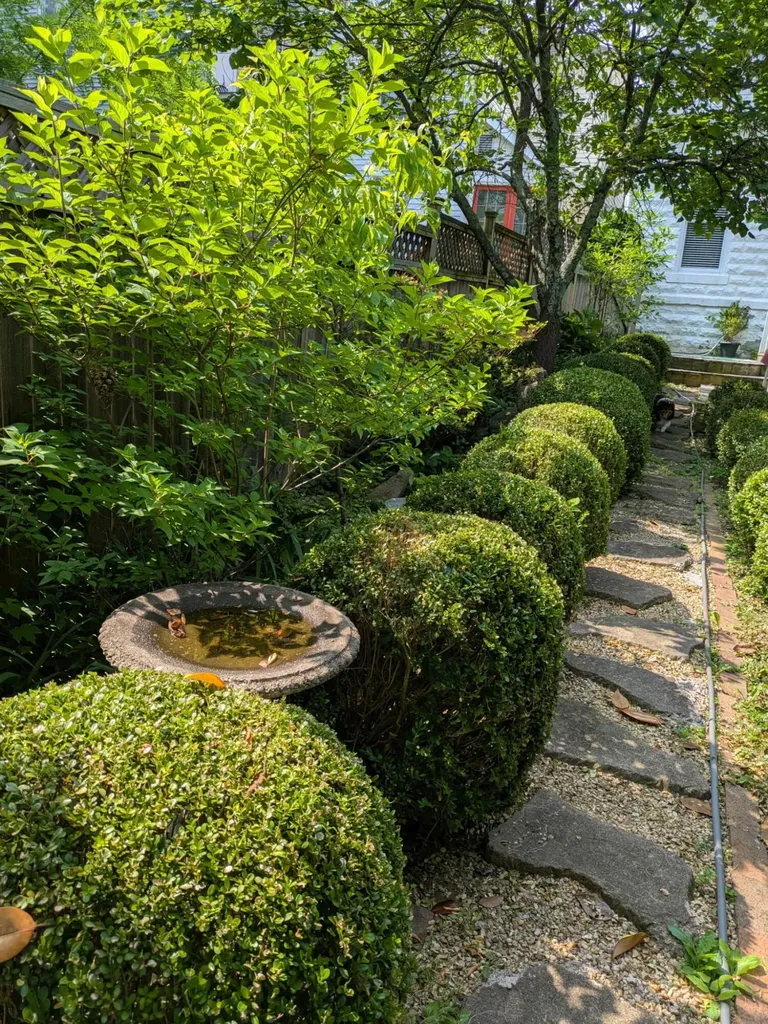 214 W Campbell Street Frankfort KY 40601