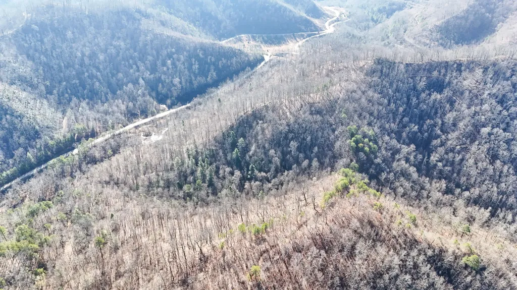 0 Polls Creek Road Yeaddiss KY 41777