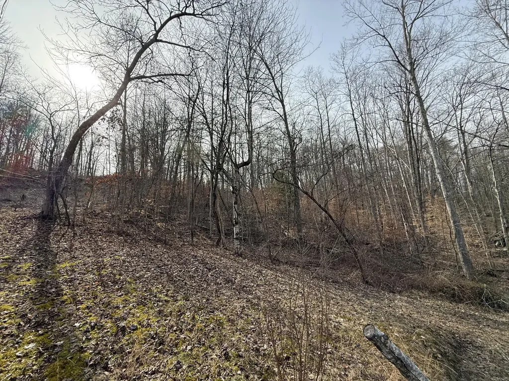 265 Smallwood Road Mt Vernon KY 40456