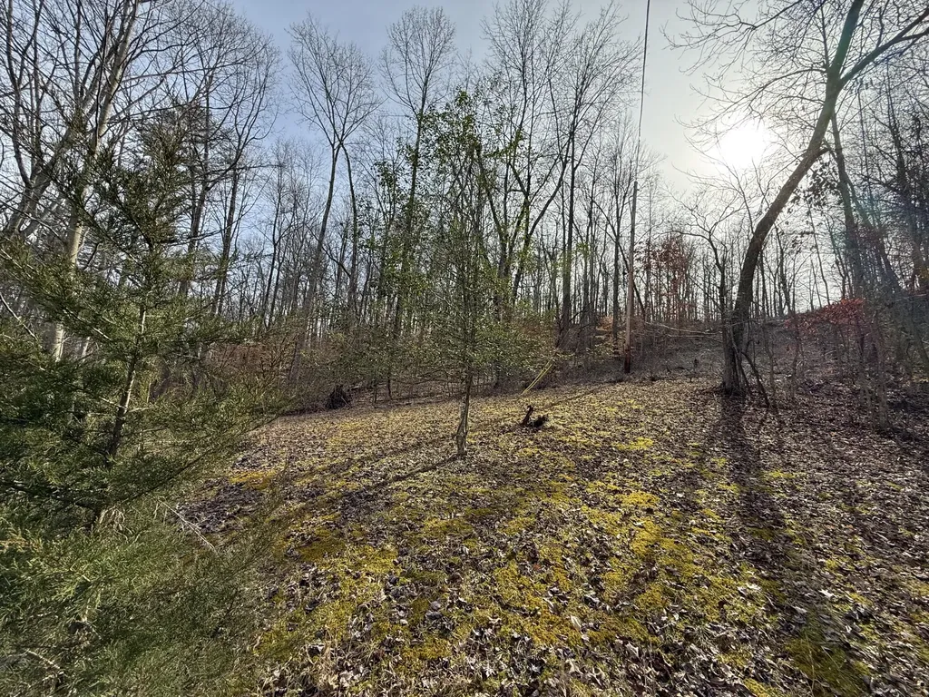 265 Smallwood Road Mt Vernon KY 40456