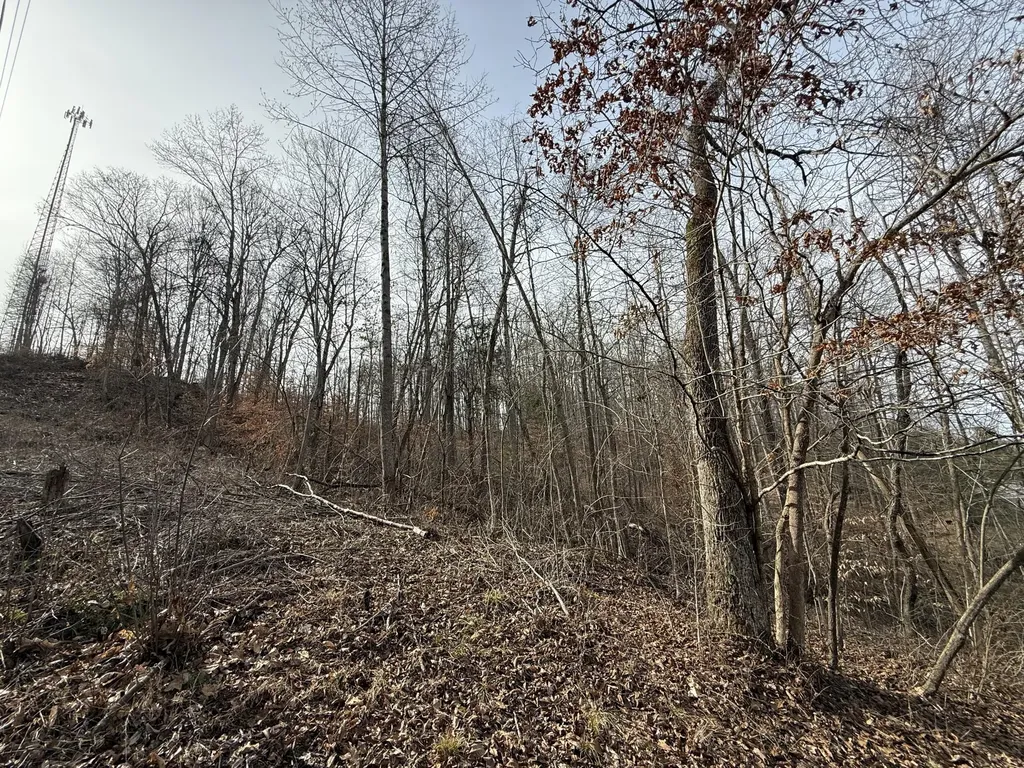265 Smallwood Road Mt Vernon KY 40456