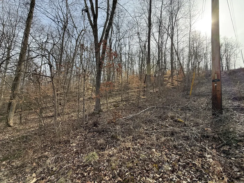 265 Smallwood Road Mt Vernon KY 40456