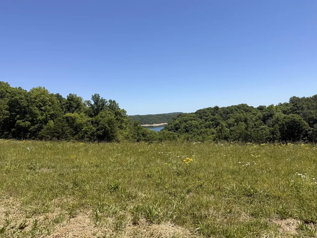Tract 4 Highway 196 Nancy KY 42544
