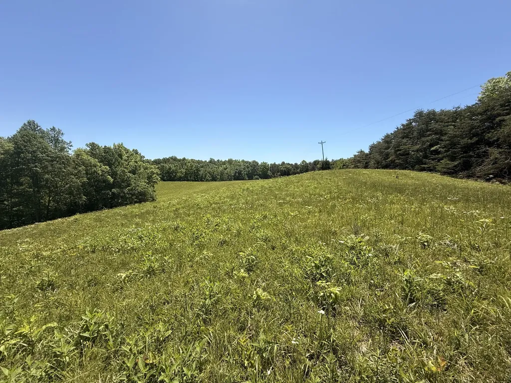 Tract 4 Highway 196 Nancy KY 42544